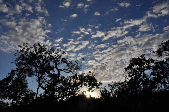 Fim de tarde no cerrado, no P.N Chapada dos Veadeiros, região de São Jorge - GO